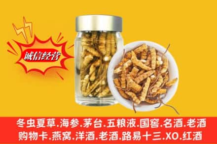 太原万柏林区回收散虫草