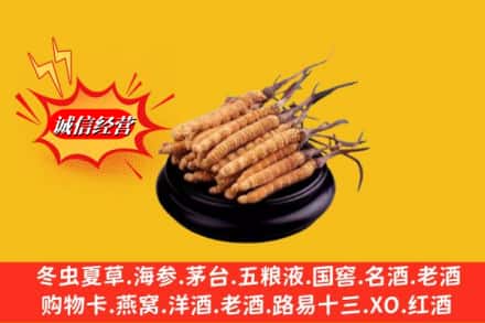 太原万柏林区名酒回收冬虫夏草.jpg
